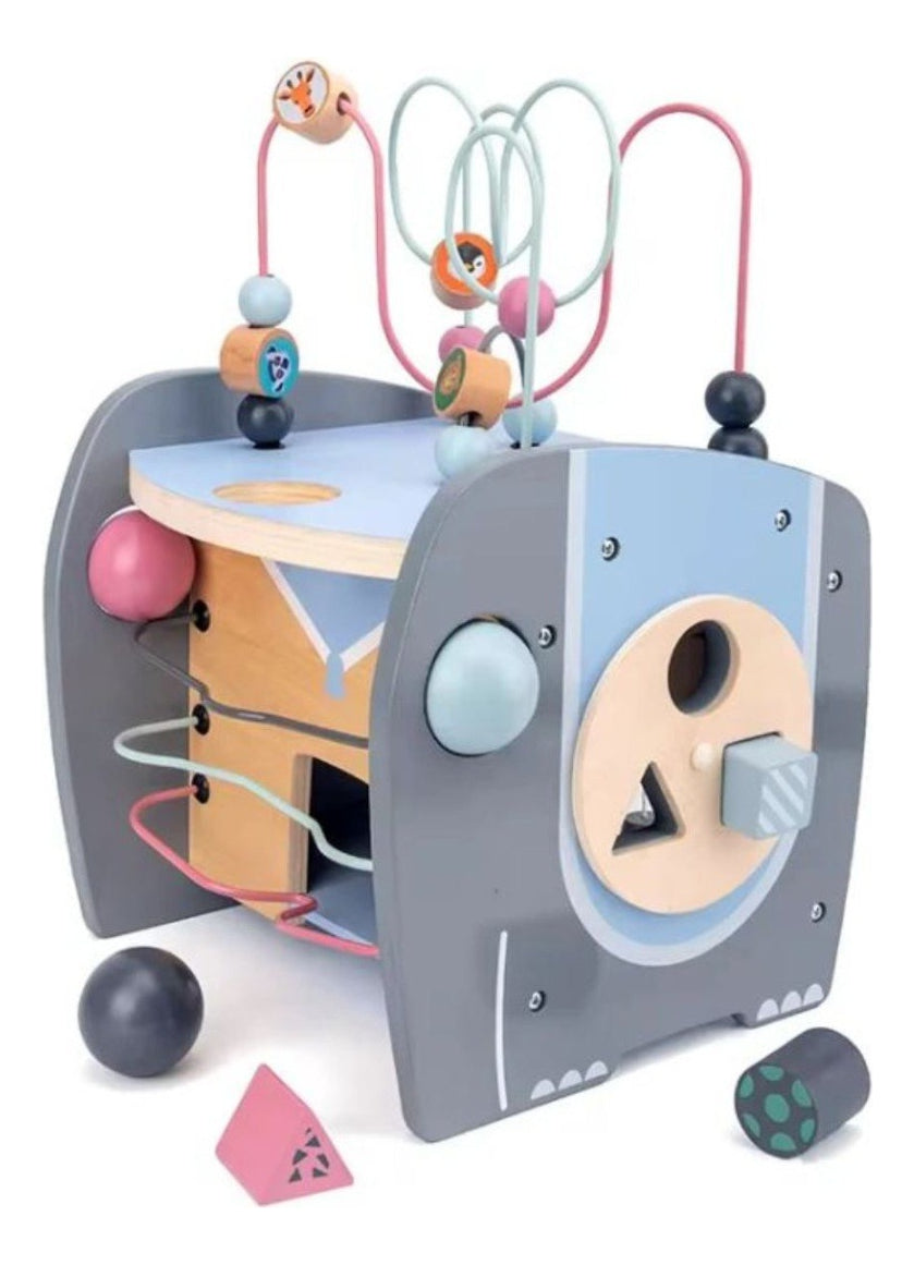 Wooden activity cube