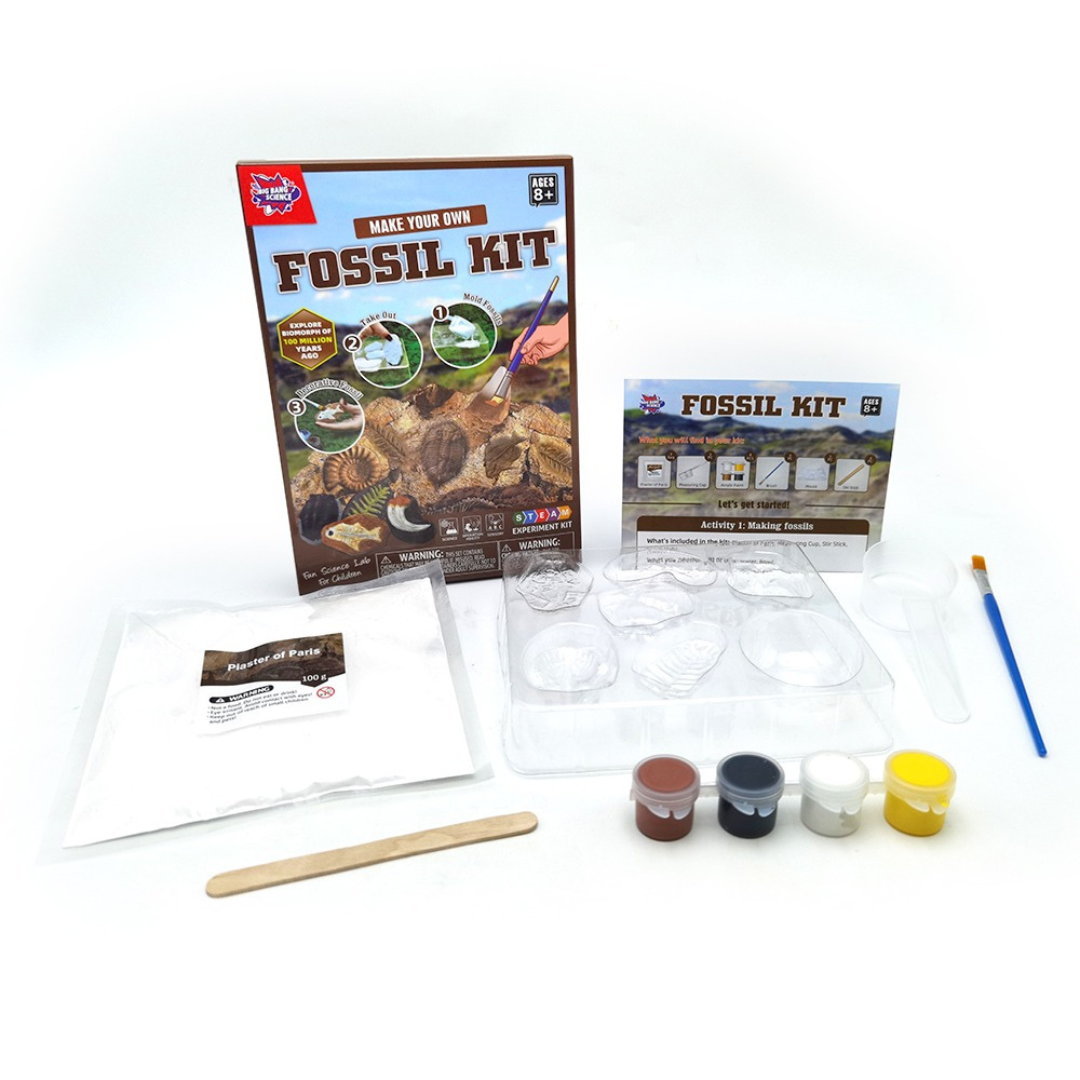 Fossil Kit